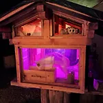 Chalet Ib Chnorz Alphut