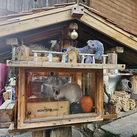 Ib Chnorz Alphut Chalet