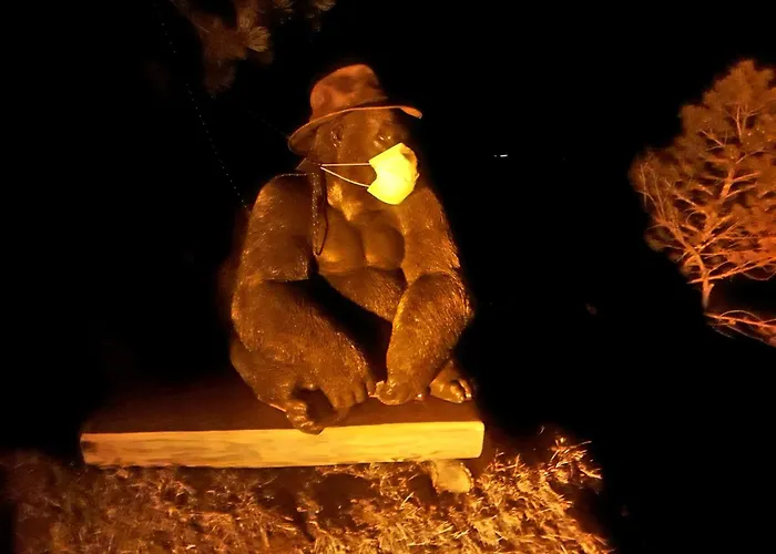 Ib Chnorz Alphut Шале